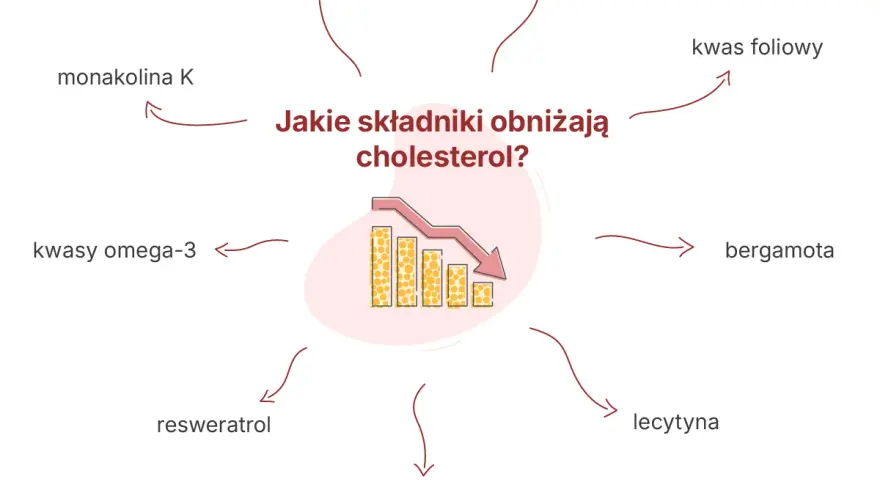 Monakolina K i inne składniki, jak berberyna czy kwasy omega-3, pomagają obniżać cholesterol. Schemat pokazuje ich wpływ na spadek poziomu cholesterolu.